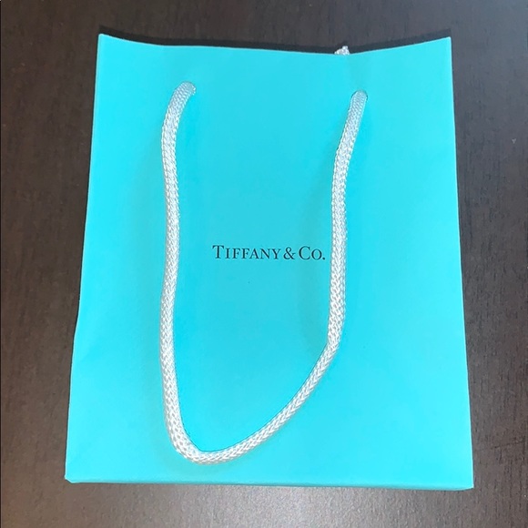 Tiffany & Co. bag - Picture 1 of 2